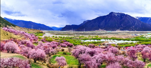 1586525448101748.png 1.png