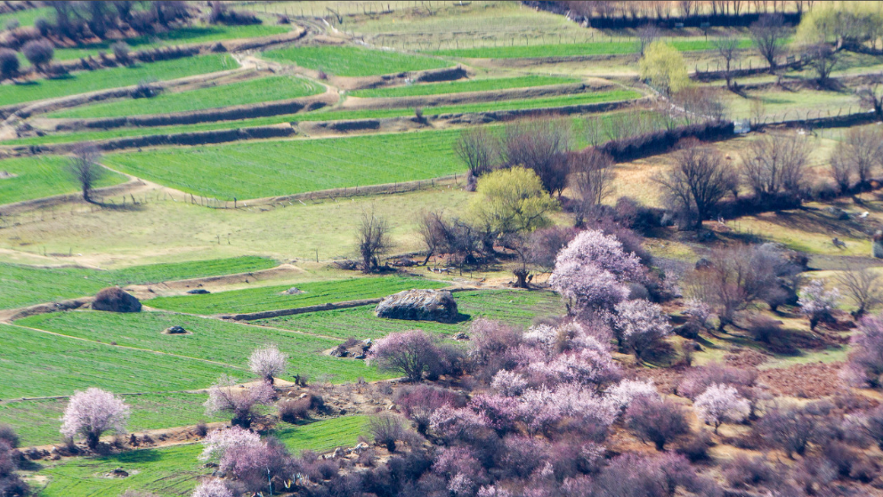 1586525460117472.png 2.png