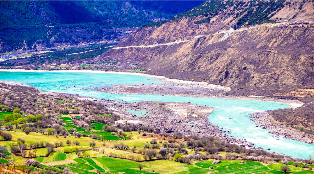 1586525533154182.png 4.png