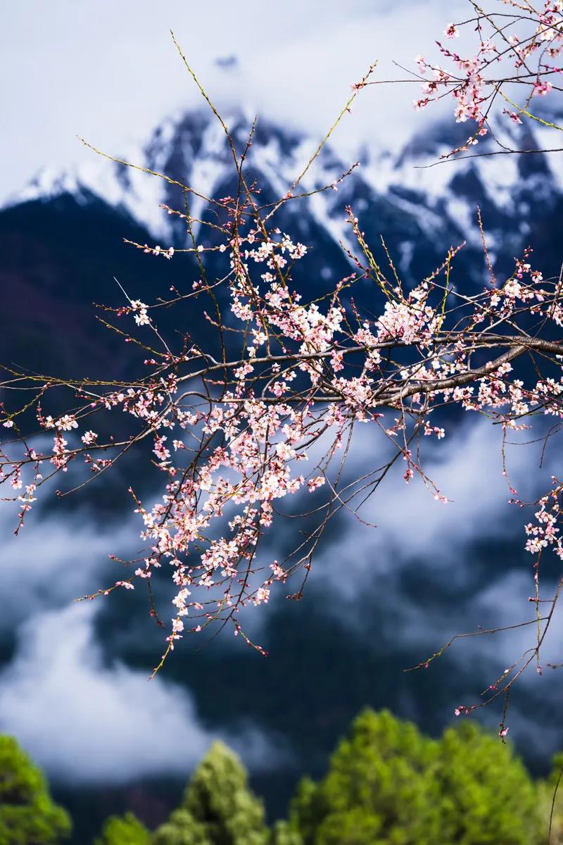 1586525575139577.jpg 6.jpg