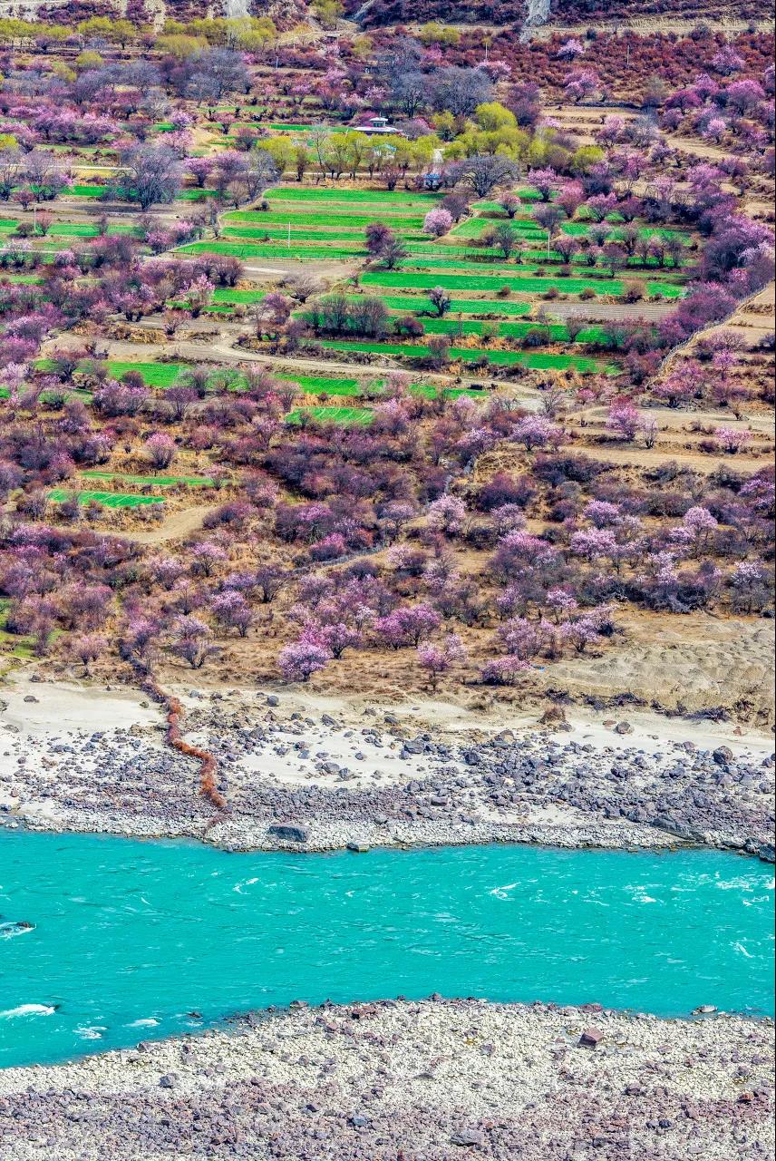 1586525621950916.jpg 7.jpg