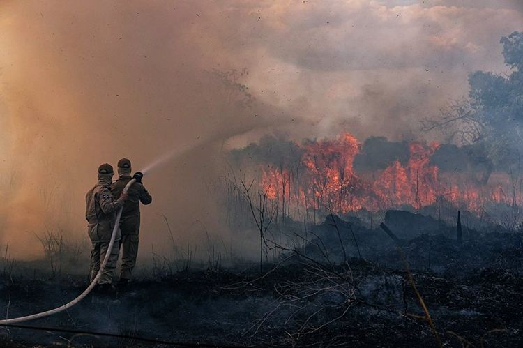 1586525661618797.jpg 9亚马逊雨林大火.jpg